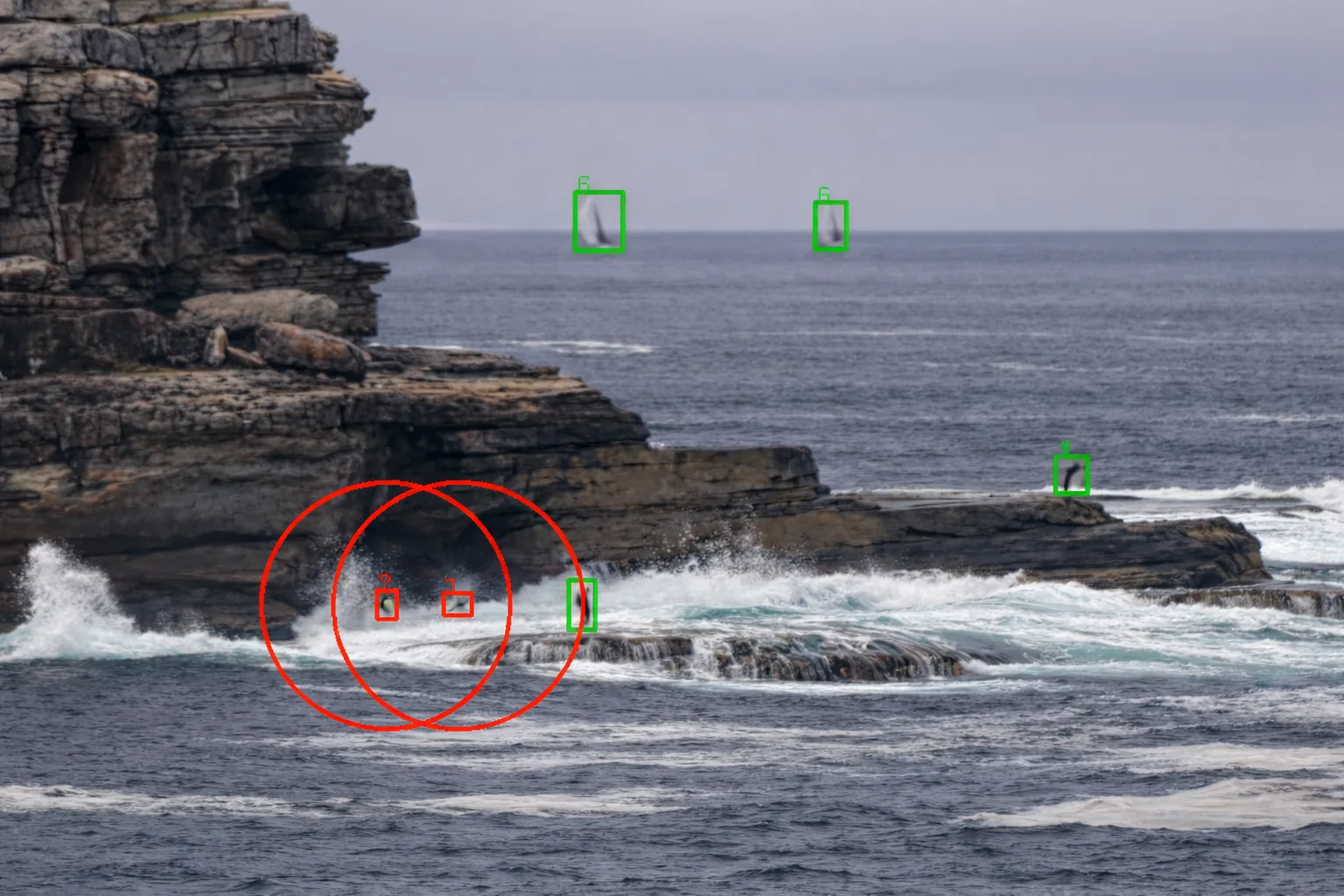 A coastal camera view, illustrating the environment for water-flow analysis.